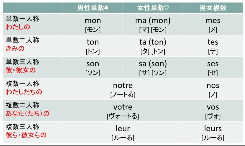 フランス語の所有形容詞（わたしの～、きみの～） トレビアンフランス語アカデミー